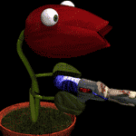 Benny the Tulip